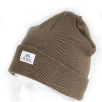 Picture of Fortis Fold Beanie Green