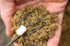 Picture of Korda - Bait Up Method Feeder