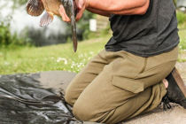 Picture of Korda - Korda Olive Joggers