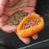 Picture of Drennan - Flat Method Feeder Starter Kit