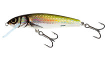 Picture of Salmo Floating Minnow 5cm 3g