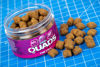 Picture of Mainline Bait Quads Bottom Baits