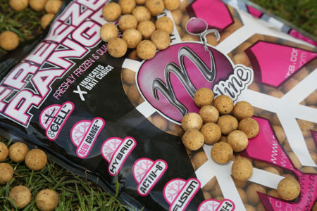 Picture of Mainline Cell Freezer Boilies 1kg