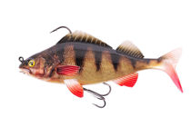 Picture of Fox Rage Realistic Perch Replicant 14cm 5.5" 45g