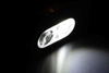 Picture of FOX Halo Multi Colour 500c Headtorch