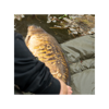Picture of One More Cast PB Roll Mat