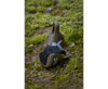 Picture of Korum Pinch-On Plummet