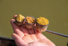 Picture of Guru Fast Release Pole Pots