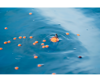 Picture of Korum Surface Feeder Float