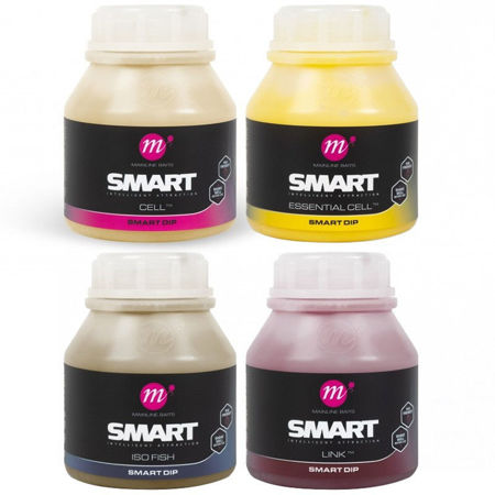 Picture of Mainline Smart Dip 250ml